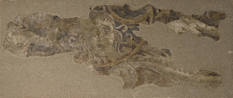 Motivi decorativi zoomorfi con Medusa