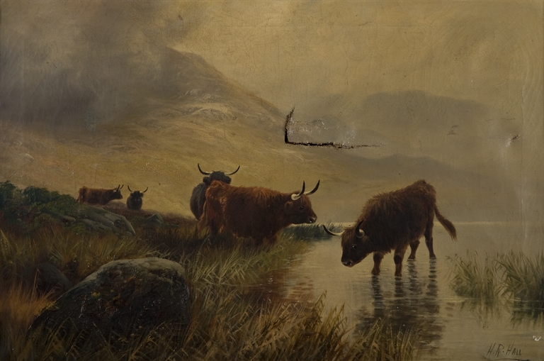 Paesaggio montano con mucche