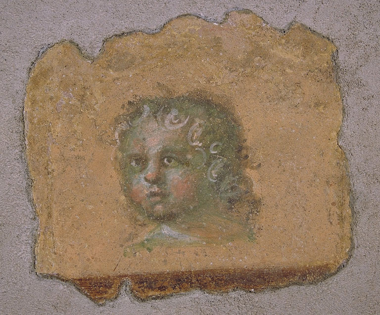 Testa di putto