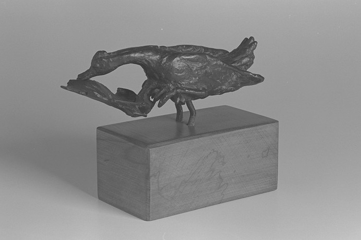 Anatroccolo in bronzo