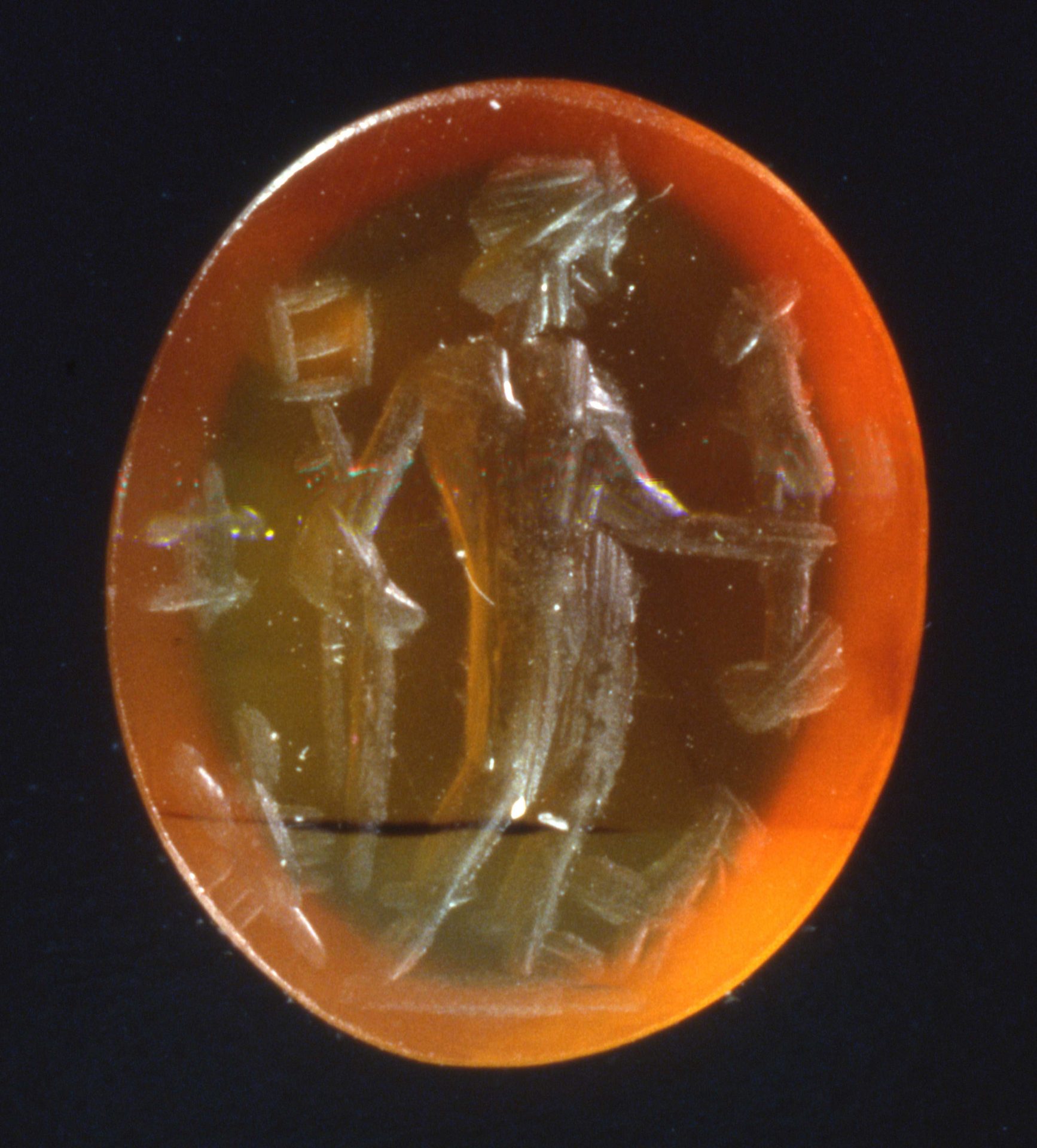 Percorso breve – Museo della Città